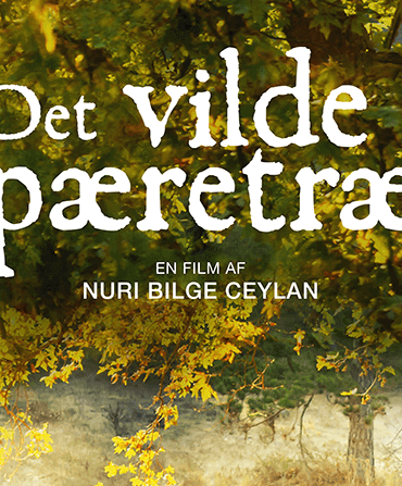 Det vilde pæretræ