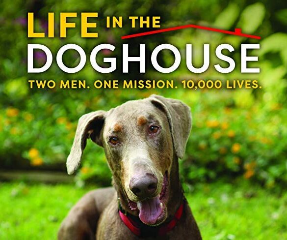 Life in the Doghouse